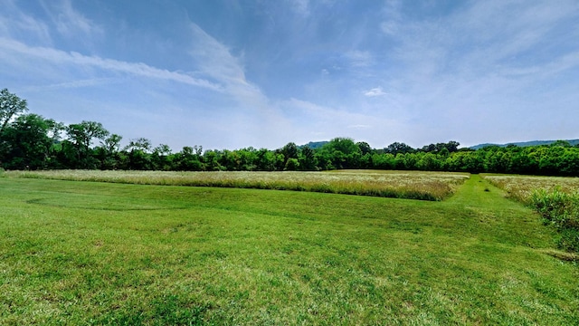 3460 Bradyville Rd, Readyville, TN 37149 - photo 27