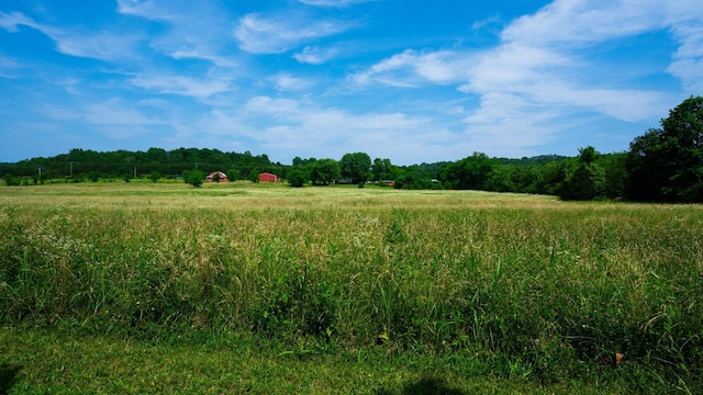 3460 Bradyville Rd, Readyville, TN 37149 - photo 26