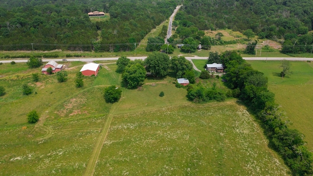 3460 Bradyville Rd, Readyville, TN 37149 - photo 23