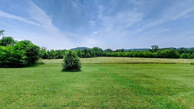 3460 Bradyville Rd, Readyville, TN 37149 - photo 28