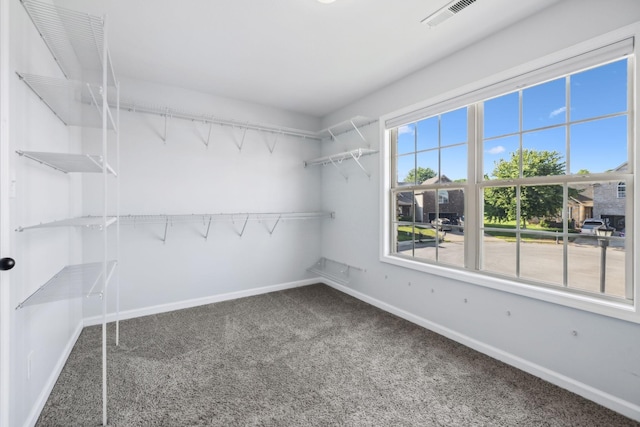 3296 Wiser Dr, Clarksville, TN 37042 - walk in closet featuring carpet