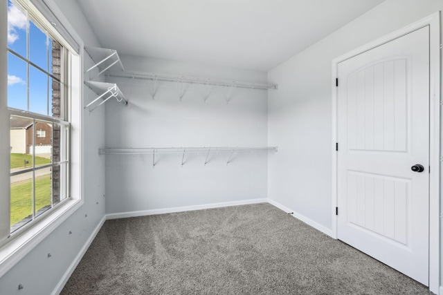 3296 Wiser Dr, Clarksville, TN 37042 - walk in closet with carpet flooring
