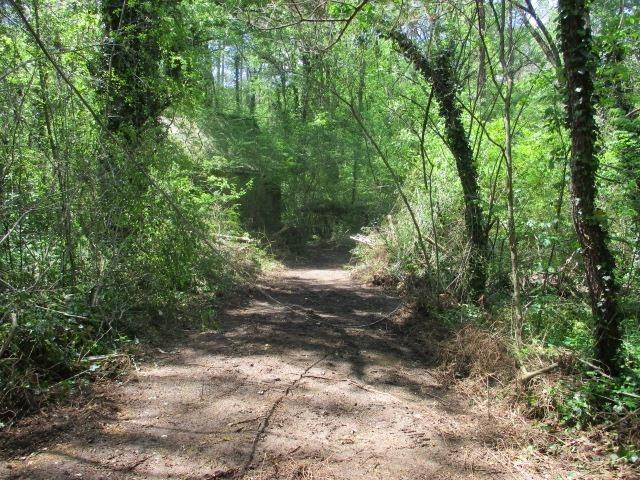 0 Honeycomb Rd, Grant, AL 35747