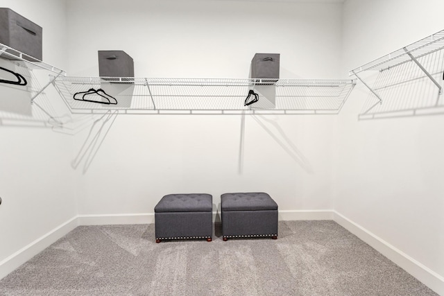 800 Cawthorn Ln, Mount Juliet, TN 37122 - walk in closet with carpet