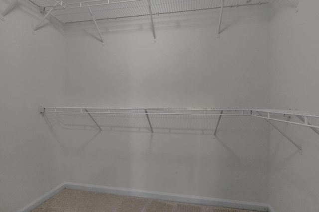 1039 Hemlock Dr, Spring Hill, TN 37174 - spacious closet featuring light colored carpet