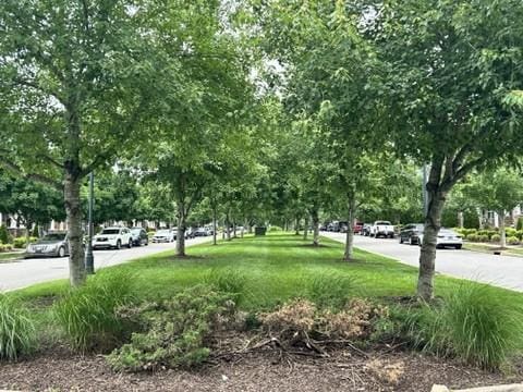 312 Mapleton Aly, Hermitage, TN 37076 - surrounding community featuring a lawn
