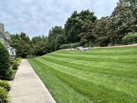 312 Mapleton Aly, Hermitage, TN 37076 - view of grassy yard