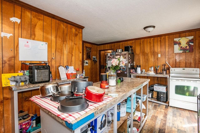 135 Old Union Church Rd, Holladay, TN 38341 - kitchen featuring electric stove, wood walls, brown cabinets, light wood-style flooring, and light countertops