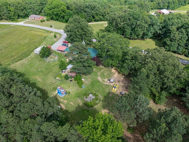 135 Old Union Church Rd, Holladay, TN 38341 - view of property location featuring a forest