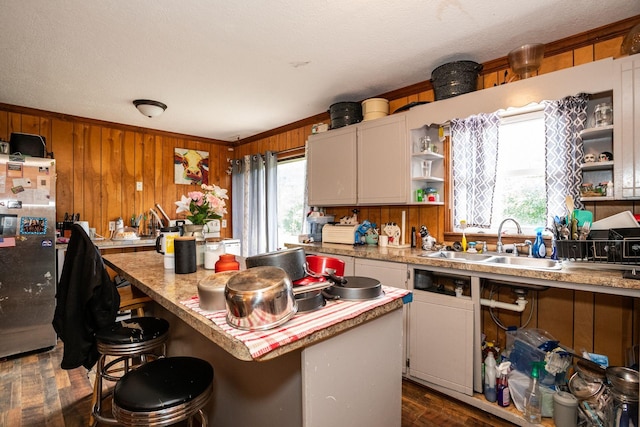 135 Old Union Church Rd, Holladay, TN 38341 - kitchen with freestanding refrigerator, a sink, open shelves, healthy amount of natural light, and wood walls