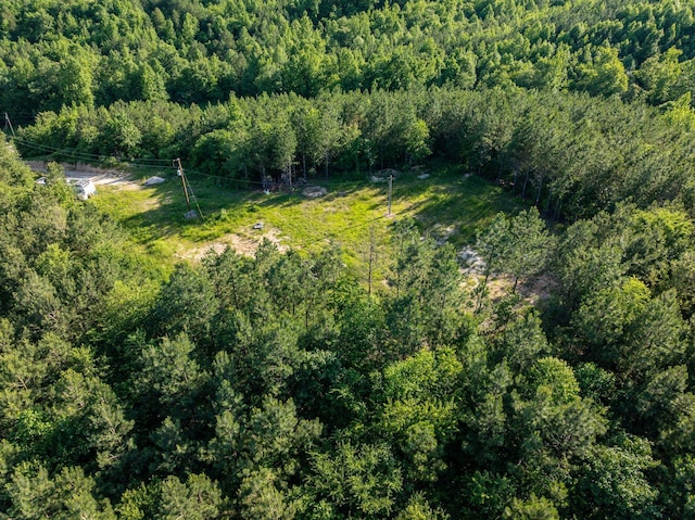 1882 Morris Rd, Holladay, TN 38341