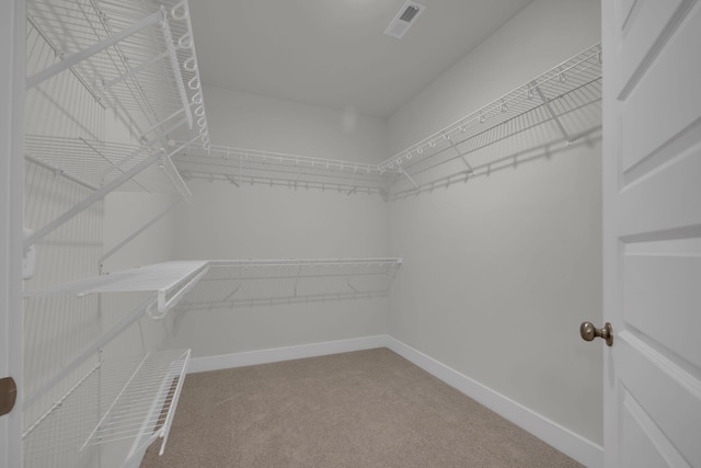 8545 Ari Ln, Chattanooga, TN 37421 - walk in closet with carpet