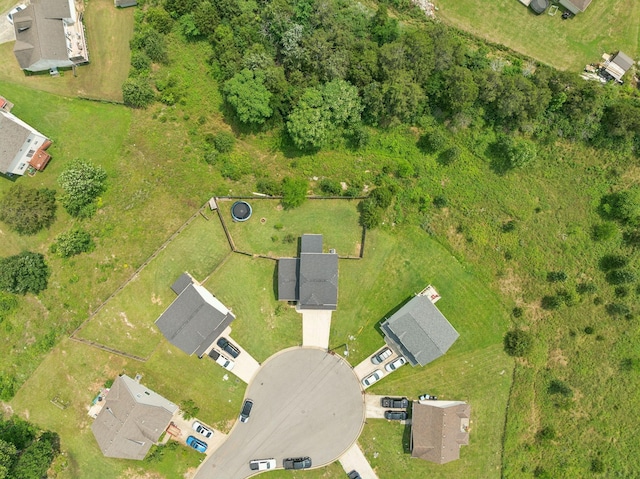 1217 Merritt Hill Trl, Smyrna, TN 37167 - bird's eye view