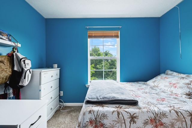 1217 Merritt Hill Trl, Smyrna, TN 37167 - bedroom with carpet flooring and baseboards