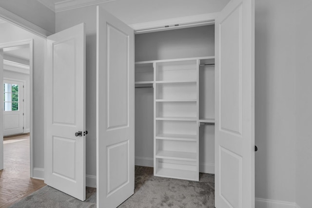 7139 Frances St, Fairview, TN 37062 - view of closet