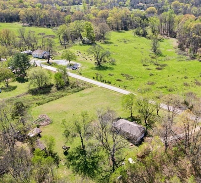 1190 Corum Hill Rd, Castalian Springs, TN 37031 - overview of rural landscape