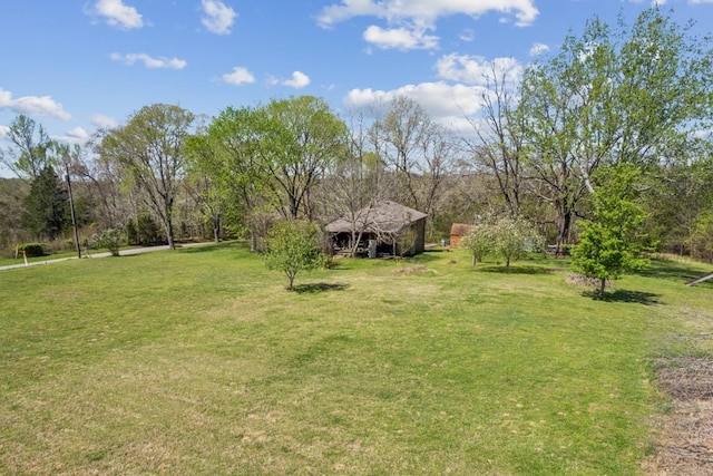 1190 Corum Hill Rd, Castalian Springs, TN 37031 - view of green lawn