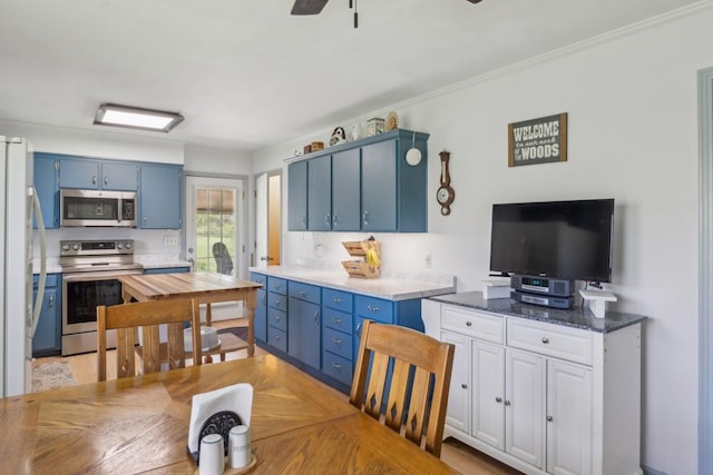 1190 Corum Hill Rd, Castalian Springs, TN 37031 - kitchen with appliances with stainless steel finishes, blue cabinetry, ceiling fan, and ornamental molding