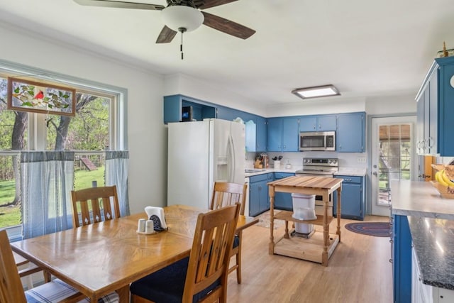 1190 Corum Hill Rd, Castalian Springs, TN 37031 - dining room featuring light wood-type flooring and ceiling fan