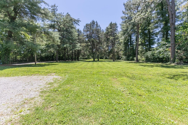 705 Hogan Rd, Nashville, TN 37220 - photo 21