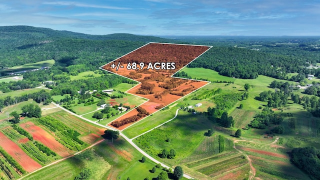 0 Safley Hollow Rd, Mcminnville, TN 37110 - photo 2
