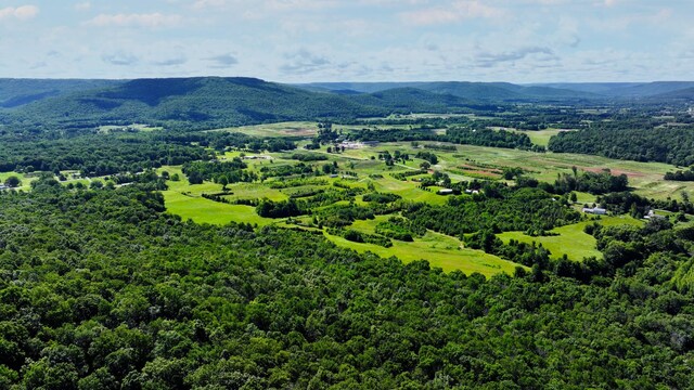 0 Safley Hollow Rd, Mcminnville, TN 37110 - photo 5