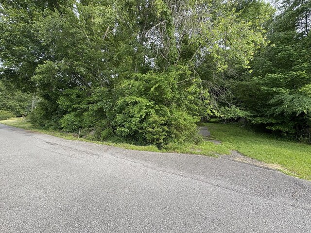 550 Swan Ln, Clarksville, TN 37043 - photo 10