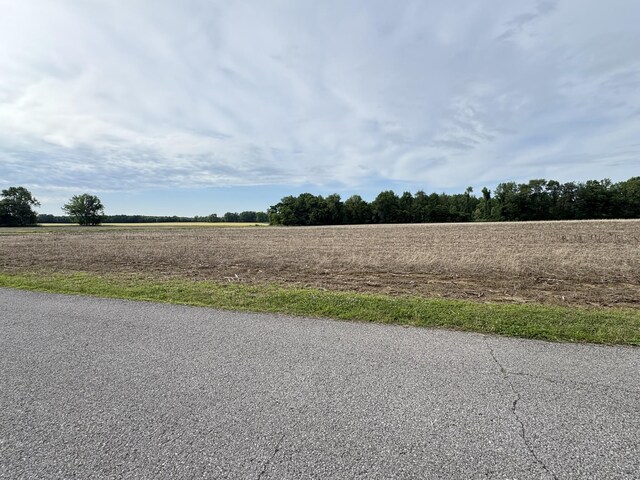550 Swan Ln, Clarksville, TN 37043 - photo 12