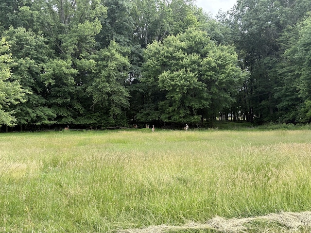 550 Swan Ln, Clarksville, TN 37043 - photo 3