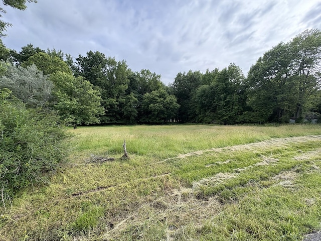 550 Swan Ln, Clarksville, TN 37043 - photo 5