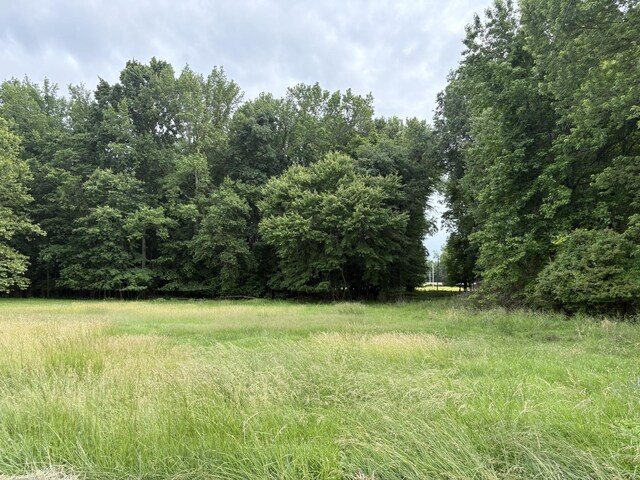 550 Swan Ln, Clarksville, TN 37043 - photo 4