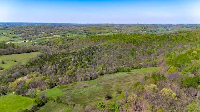 3199 Mcknight Rd, Lewisburg, TN 37091
