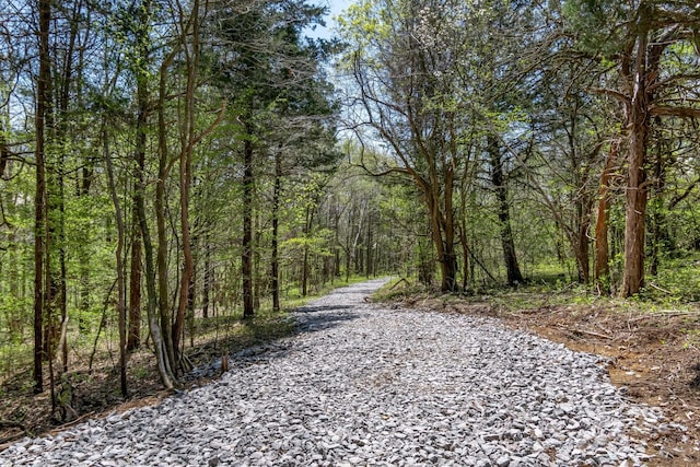 3199 Mcknight Rd, Lewisburg, TN 37091
