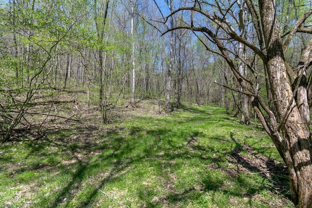 3199 Mcknight Rd, Lewisburg, TN 37091
