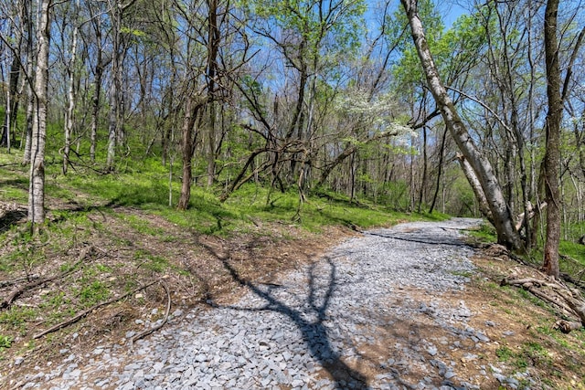3199 Mcknight Rd, Lewisburg, TN 37091
