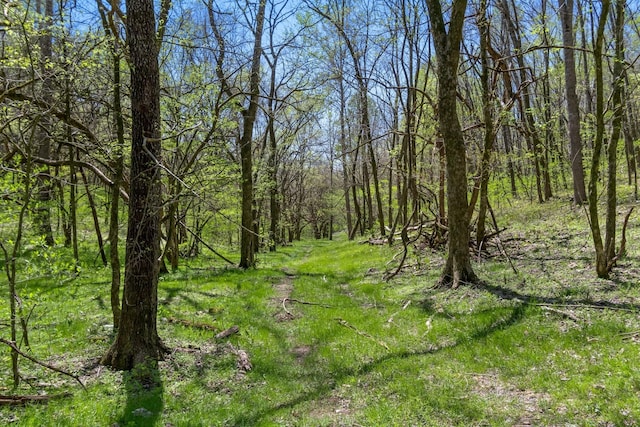 3199 Mcknight Rd, Lewisburg, TN 37091