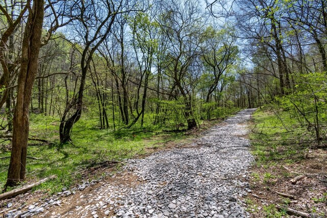 3199 Mcknight Rd, Lewisburg, TN 37091