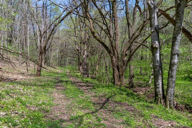 3199 Mcknight Rd, Lewisburg, TN 37091