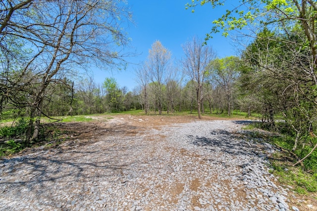 3199 Mcknight Rd, Lewisburg, TN 37091