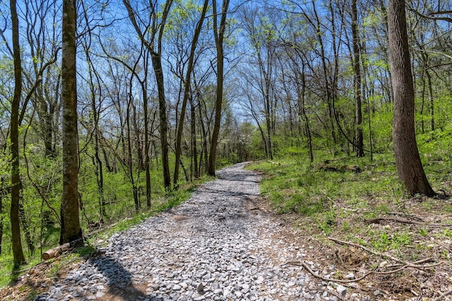 3199 Mcknight Rd, Lewisburg, TN 37091
