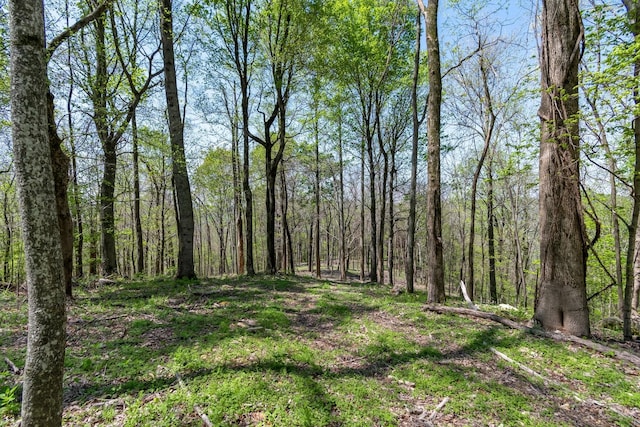 3199 Mcknight Rd, Lewisburg, TN 37091