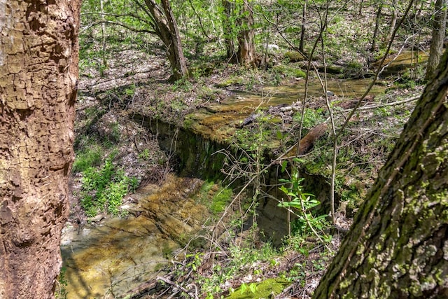 2819A Yell Rd, Lewisburg, TN 37091