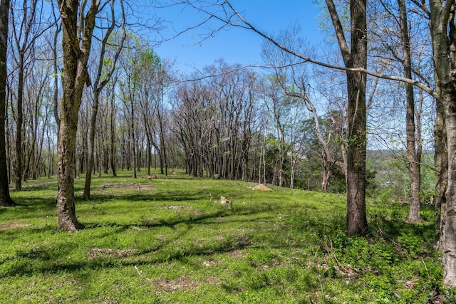 2819A Yell Rd, Lewisburg, TN 37091