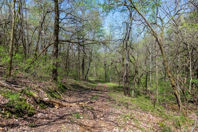 2819A Yell Rd, Lewisburg, TN 37091