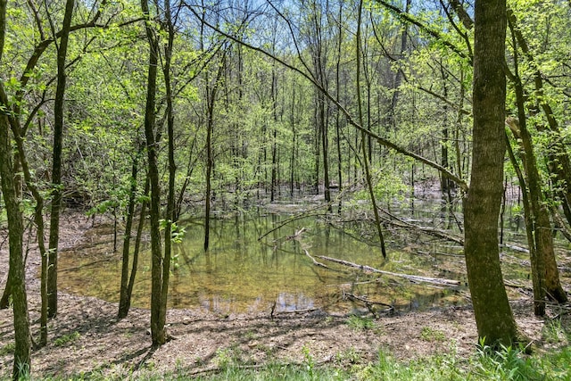 2819A Yell Rd, Lewisburg, TN 37091