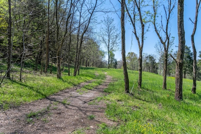 2819A Yell Rd, Lewisburg, TN 37091