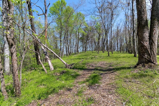 2819A Yell Rd, Lewisburg, TN 37091