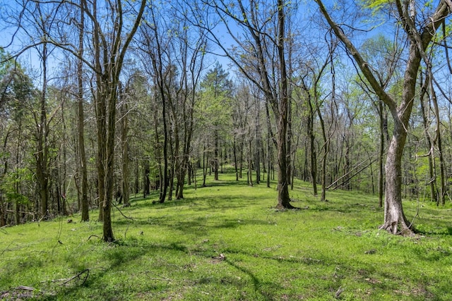 2819A Yell Rd, Lewisburg, TN 37091