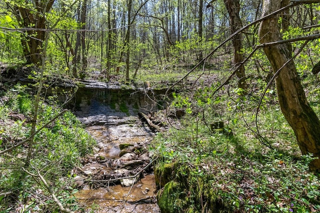 2819A Yell Rd, Lewisburg, TN 37091
