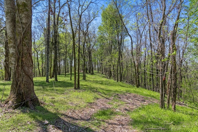 2819A Yell Rd, Lewisburg, TN 37091